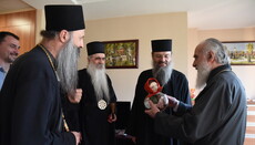 Patriarch Irinej of Serbia: Schism is not defeated by voyages of politicians to the Church hierarchs