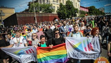 Конгресмени США наполягали на внесенні до Конституції України статті про захист прав ЛГБТ, – депутат