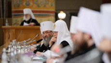 Митрополит Онуфрій закликав РПЦ підкреслити особливий статус УПЦ