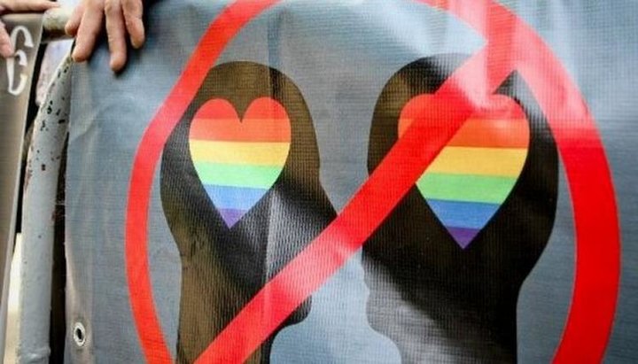 Автор петиції вимагає від керівництва країни «припинення в Україні пропаганди гомосексуалізму і для захисту традиційних сімейних цінностей».