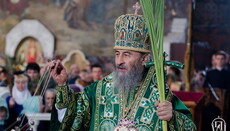 Предстоятель УПЦ поздравил верующих с Вербным воскресеньем