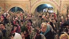 Тысячи верных УПЦ во всех городах страны отметили Вербное воскресенье