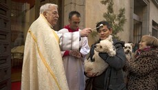 Група англіканських єпископів пропонує хрестити тварин