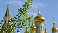Укрзализныця анонсировала дополнительные рейсы на Троицу