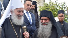Патриарх Сербский Ириней прибыл на Святую Гору Афон