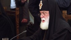 Власти Грузии пообещали Патриарху Илии отозвать законопроект о марихуане