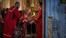 Патриарх Илия просит грузинские власти и оппозицию не оскорблять друг друга