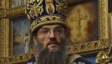 Metropolitan Luke addresses Patriarch of the Georgian Church