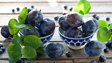 Parable: Paisios the Athonite on how to share plums correctly