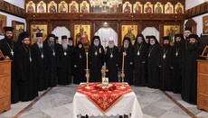 Путь к преодолению кризиса - диалог, - Сербская и Антиохийская Церкви
