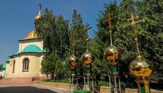 В Луганской епархии освятили купола для строящегося храма УПЦ в Алексеевке