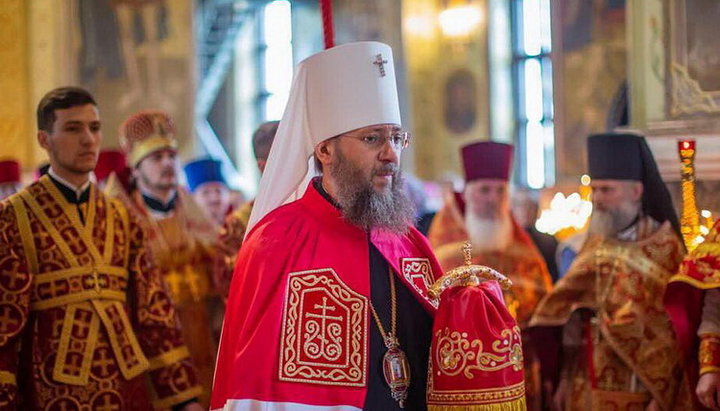 Metropolitan Anthony (Pakanich) of Borispol and Brovary, Chancellor of the UOC. Photo: Borispol Eparchy website