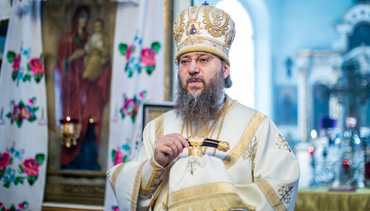 Chancellor of the UOC, Metropolitan Anthony (Pakanich) of Borispol and Brovary. Photo:vesti-ukr.com