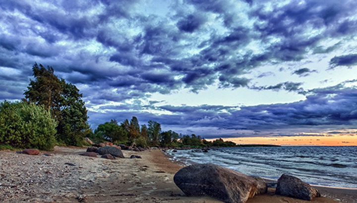 Берег Чудського озера. Фото: photocentra.ru