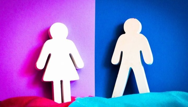 Бывшая трансгендер считает, что дети не могут принимать решение о смене пола. Фото: Пексельс / Магда Элерс