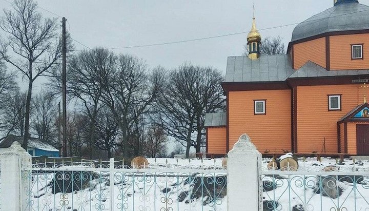 Зрізані дерева на території захопленого храму в селі Поліське. Фото: СПЖ