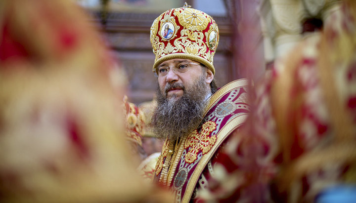 UOC Chancellor, Metropolitan Anthony (Pakanich) of Boryspil and Brovary. Photo: antoniy.com.ua