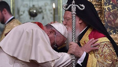 Papa: Suntem irevocabil adepții ideii de unitate creștină