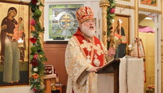 «Украинский вопрос» разобщил православных американцев, – иерарх ПЦА