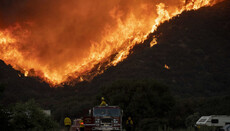 В РПЦЗ призвали молиться о прекращении лесных пожаров в Калифорнии