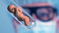 Почему РПЦ не будет менять мнение о зачатии в пробирке