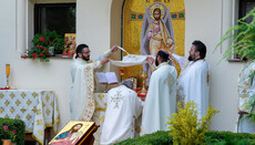 Патриарх Румынии объяснил, почему священники преклоняют колени в алтаре