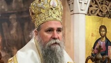 Синод СПЦ призначив адміністратора Чорногорсько-Приморській митрополії