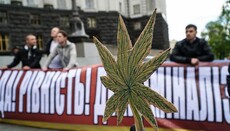 After Dumenko okays cannabis, Golos party initiates its legalization
