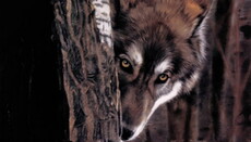 Притча: о «покаявшемся» волке