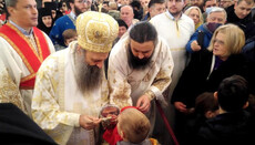 Патриарх Сербский Порфирий рассказал о парадоксальности Православия