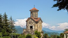 В Чкондидской епархии Грузии 11 священнослужителей отлучены от Причастия