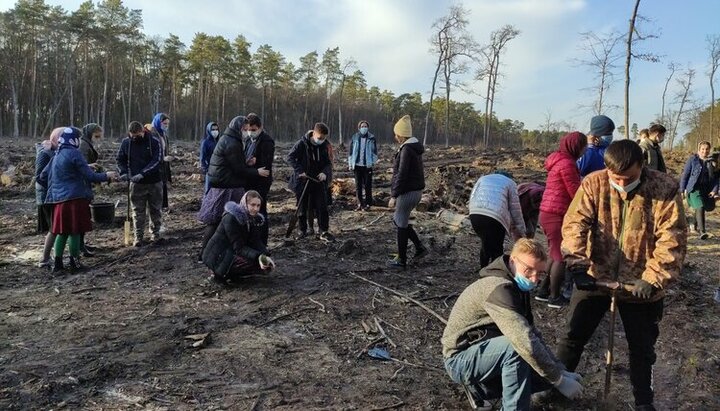 Учасники акції «Створюємо ліси разом». Фото: Facebook-сторінка «Типовий Кременець»
