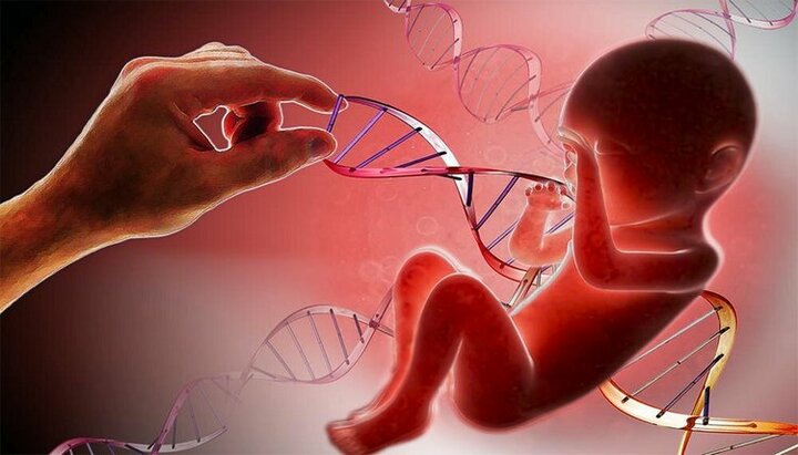 Эксперименты с эмбриональными тканями бесчеловечны. Фото: топчег.рф