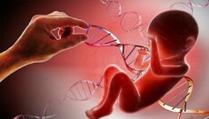 Католики в США выступили против экспериментов с человеческими эмбрионами