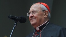 Vatican expresses readiness to help in conflict settlement in Ukraine
