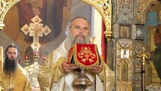 Bulgarian hierarch: We do our best to ensure unity in Orthodoxy