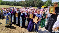 В Северодонецке прошел крестный ход в честь иконы Богоматери «Троеручица»