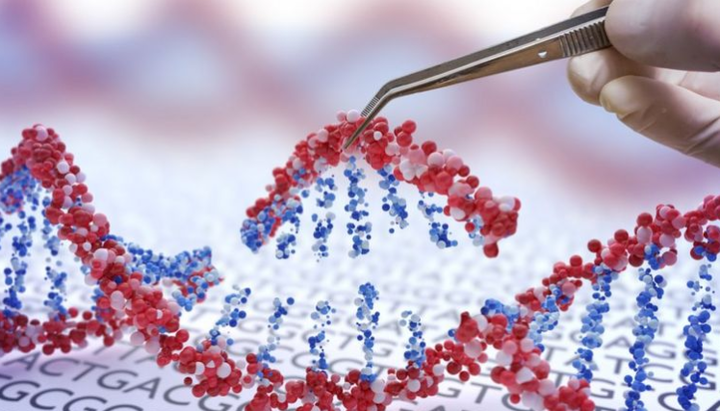 Вчені продовжують досліджувати можливості зміни ДНК. Фото: bbc.com