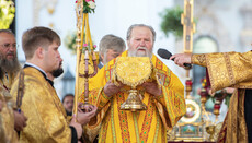 Митрополит Пражский: Молю Бога, чтобы дал силы Блаженнейшему в защите УПЦ