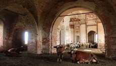 В Татарстане старинные храмы превратили в коровник и зернохранилище