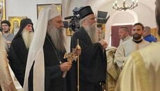 «Достоин!»: В Цетинском монастыре прошла интронизация Митрополита Иоанникия