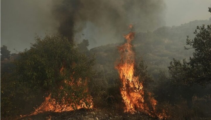 На Афоне вспыхнул лесной пожар. Фото: ekathimerini.com