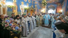 Управделами УПЦ возглавил престольный праздник Академического храма КДАиС