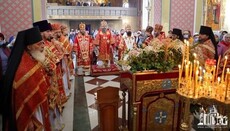 Митрополит Климент передал Северодонецкой епархии список чудотворной иконы