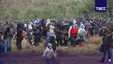Ватикан закликав ЄС взяти відповідальність за мігрантів на кордоні Білорусі