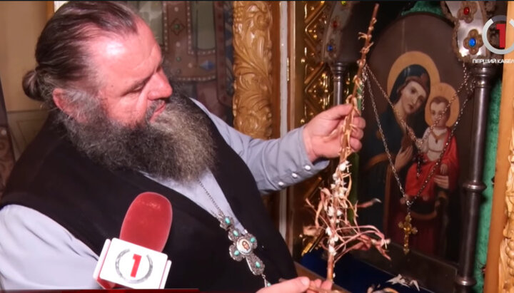 Ηγούμενος ιεράς μονής του Ρακόσινο δείχνει ανθισμένα κρίνα. Φωτογραφία: στιγμιότυπο οθόνης του καναλιού YouTube «Πρώτο καλωδιακό»