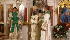 В Сербии объявили конкурс на получение стипендий памяти Патриарха Иринея