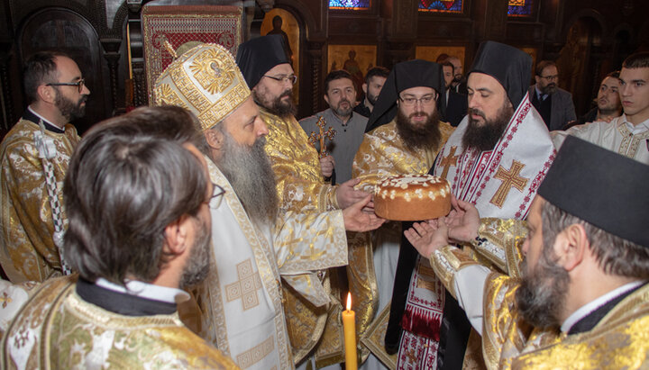 Именины Сербского Патриарха Порфирия. Фото: www.spc.rs