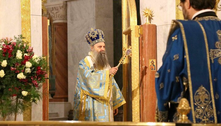 Сербский Патриарх Порфирий. Фото: spc.rs