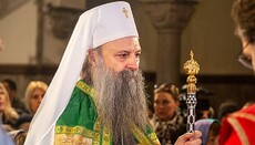 Предстоятель Сербської Церкви заразився коронавірусом